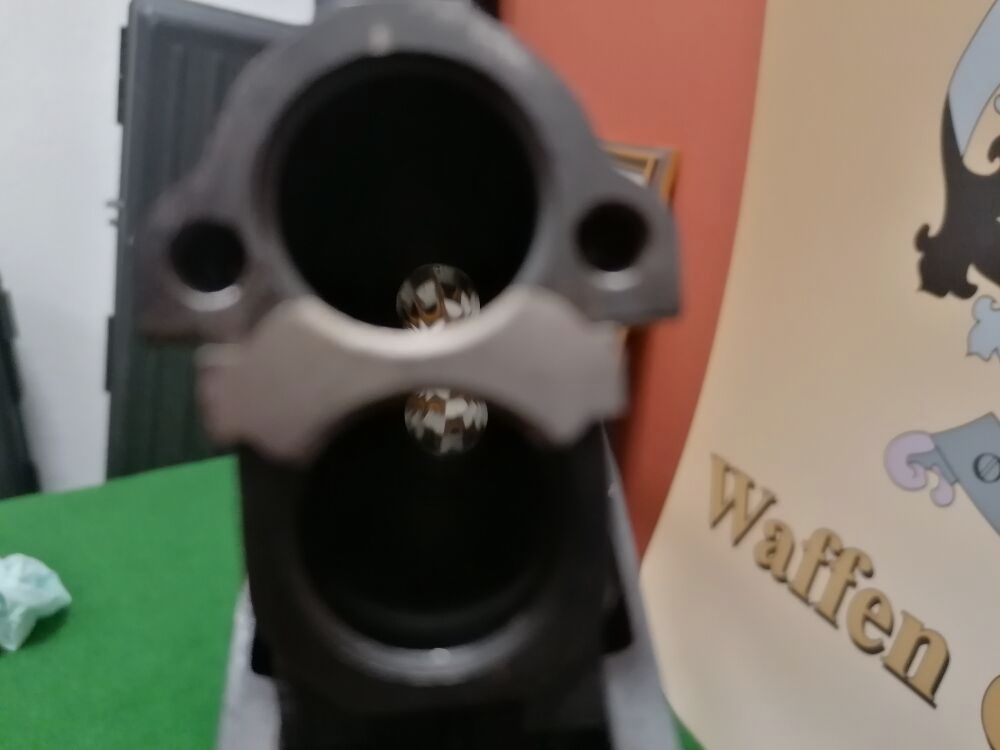 Hubertus Bayard without