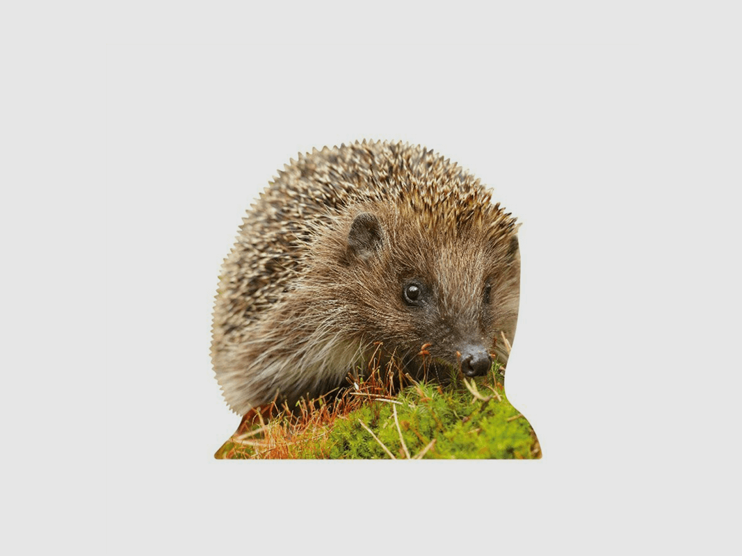 Tieraufsteller Igel