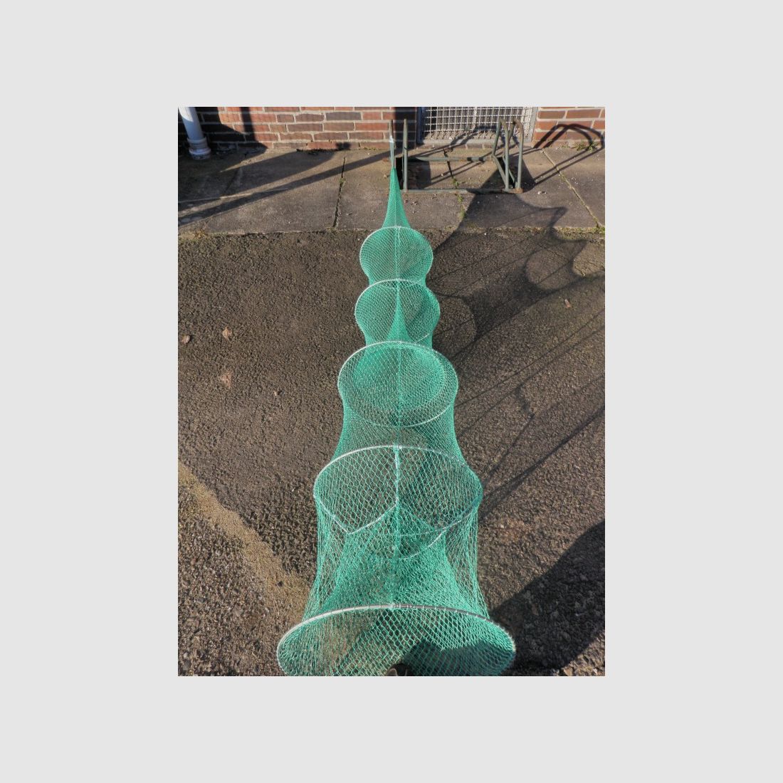 Anguila y reutilización de pescado 60 cm doble viaje