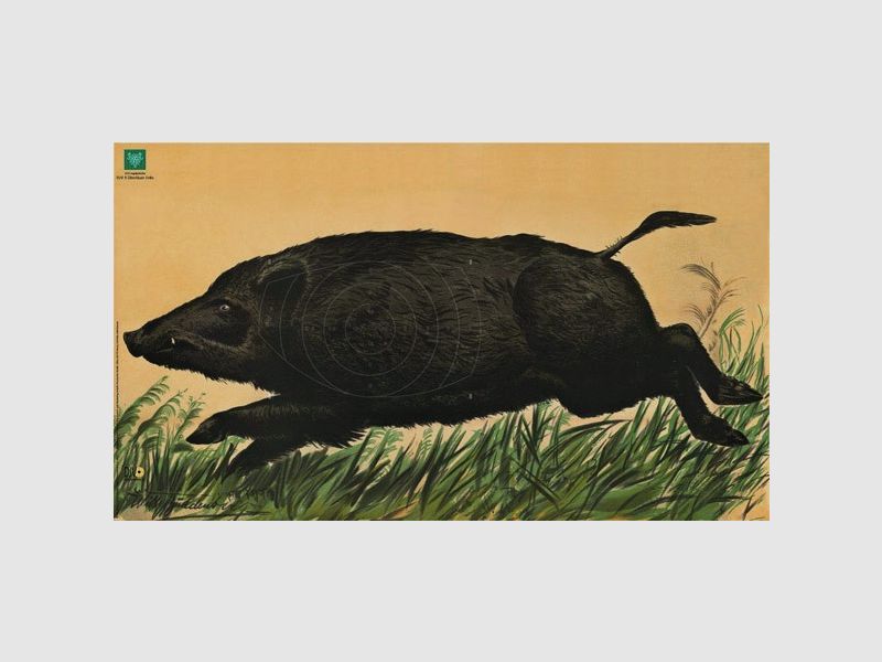 Spiegel für DJV-Scheibe Nr.6