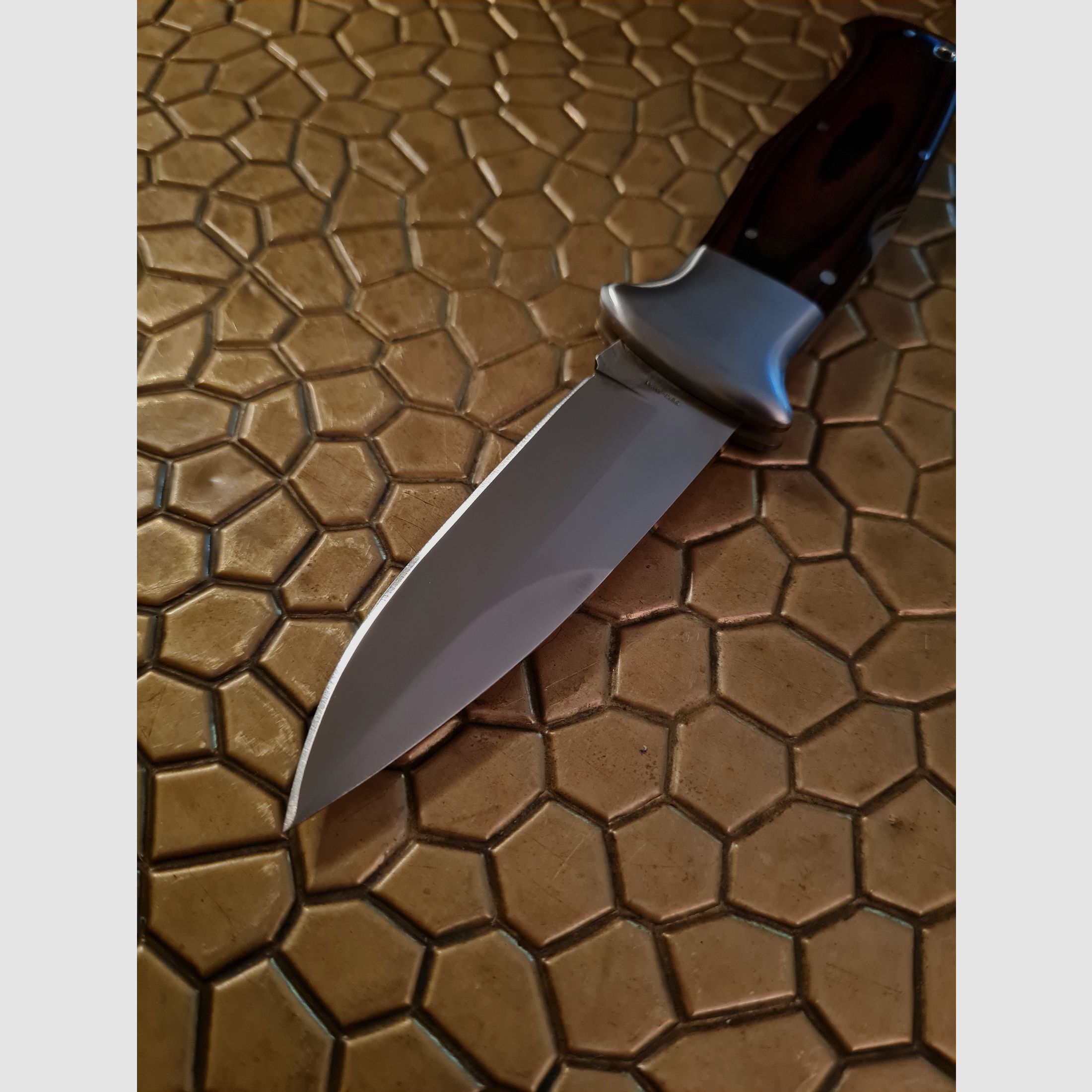 TO THE SEA S.E.R.E. "To Free the Oppressed