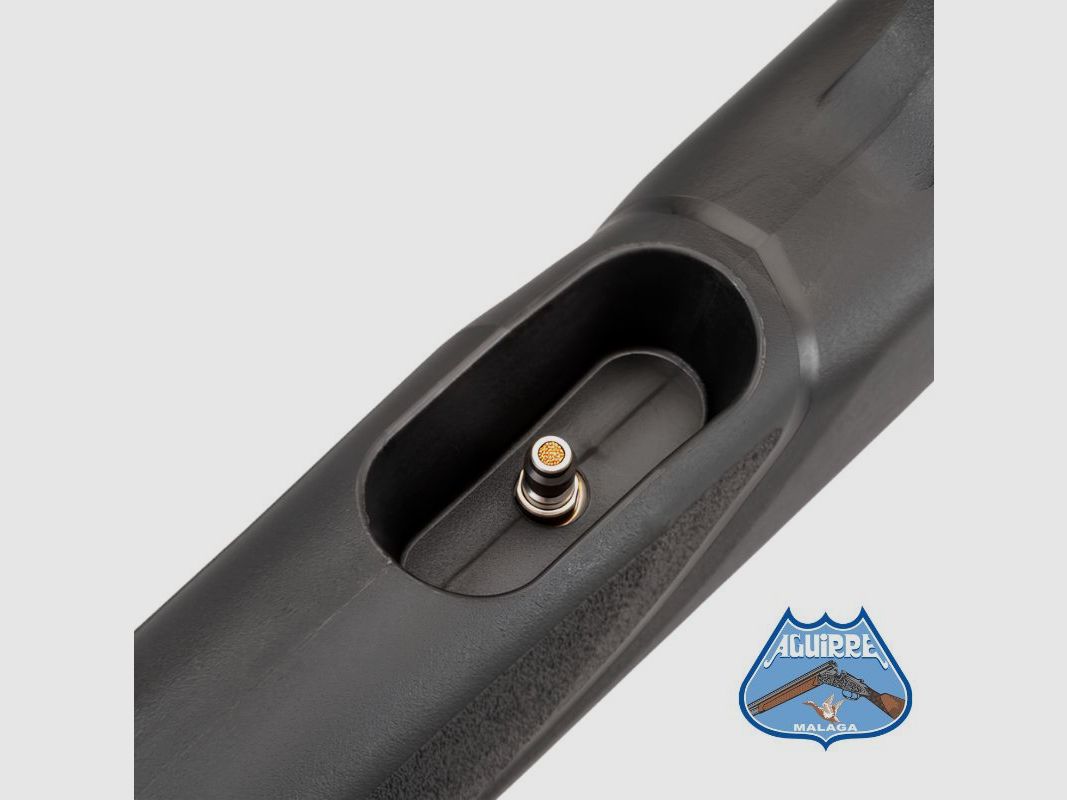 Carabina de aire comprimido Gamo Arrow SLT, imagen 6 de 8