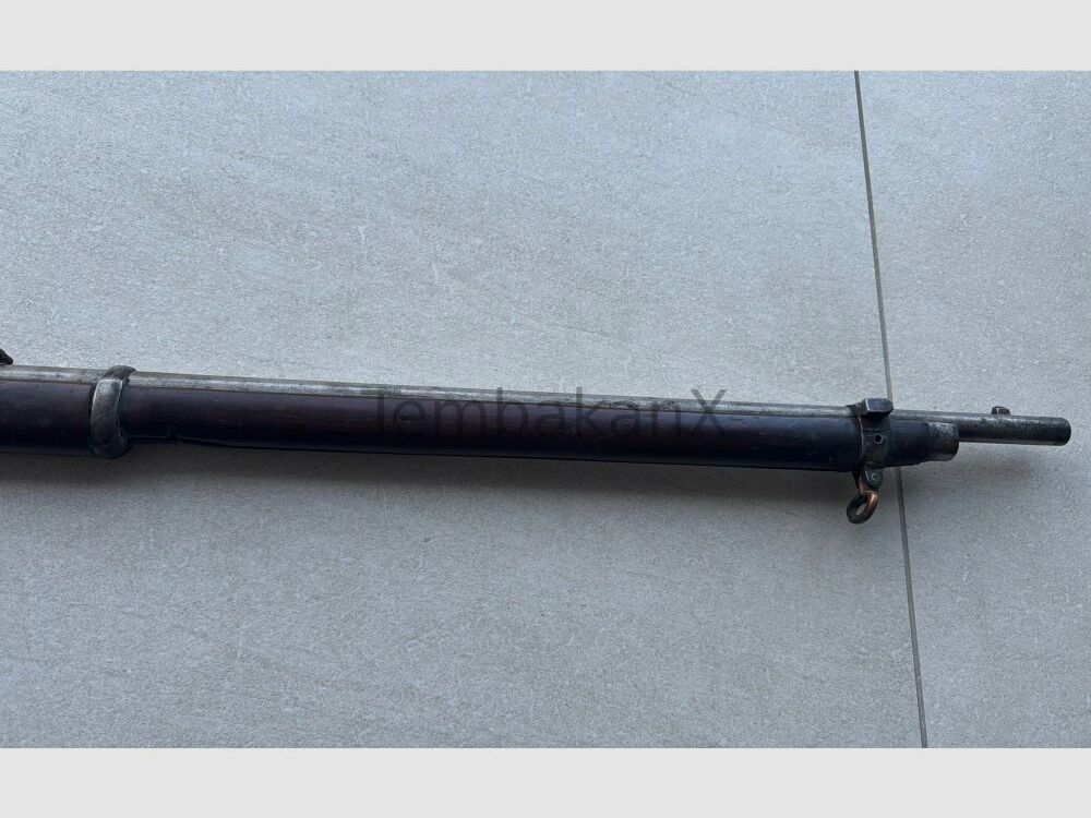 Enfield Bj. 1875 (vermutlich) .445SuperMag