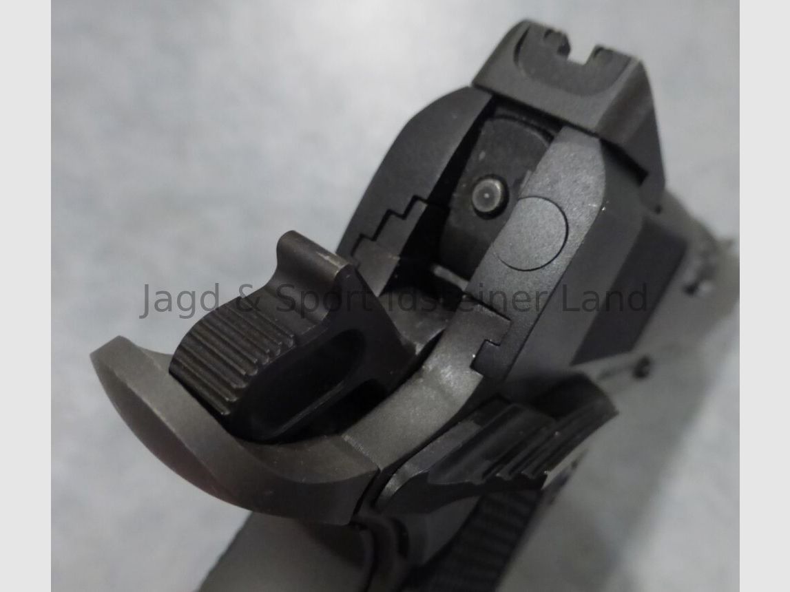 Rock Island Armory 1911