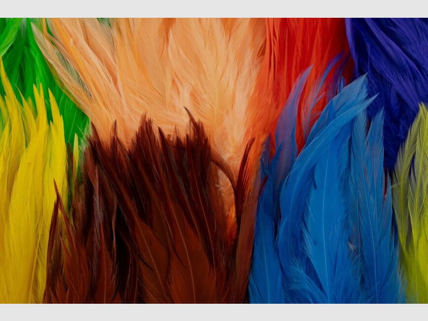 FF Rooster Saddle Feathers, image 1 of 11