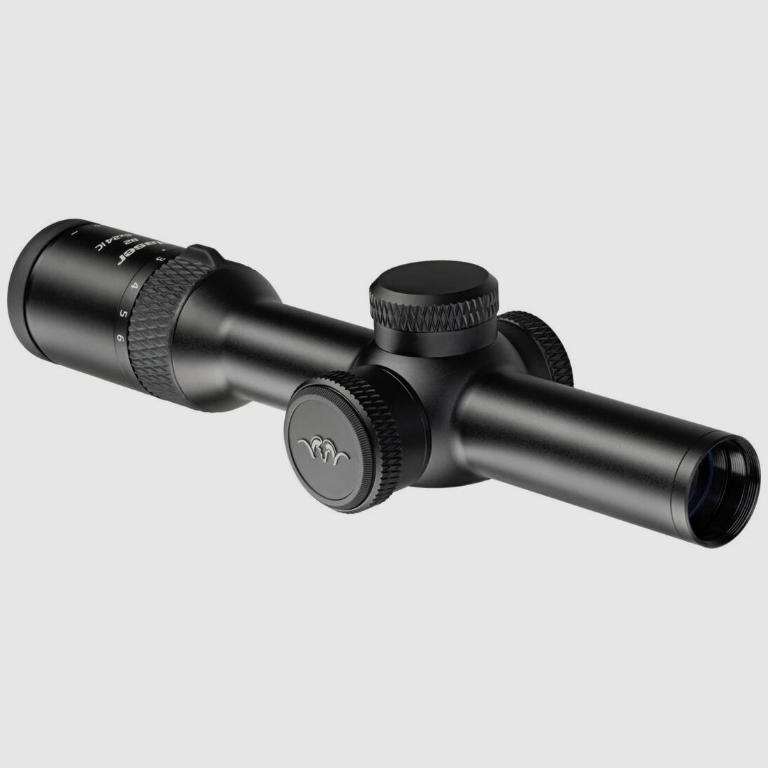 Blaser B2 Ringmontage *Sonderangebot* 1-6x24IC