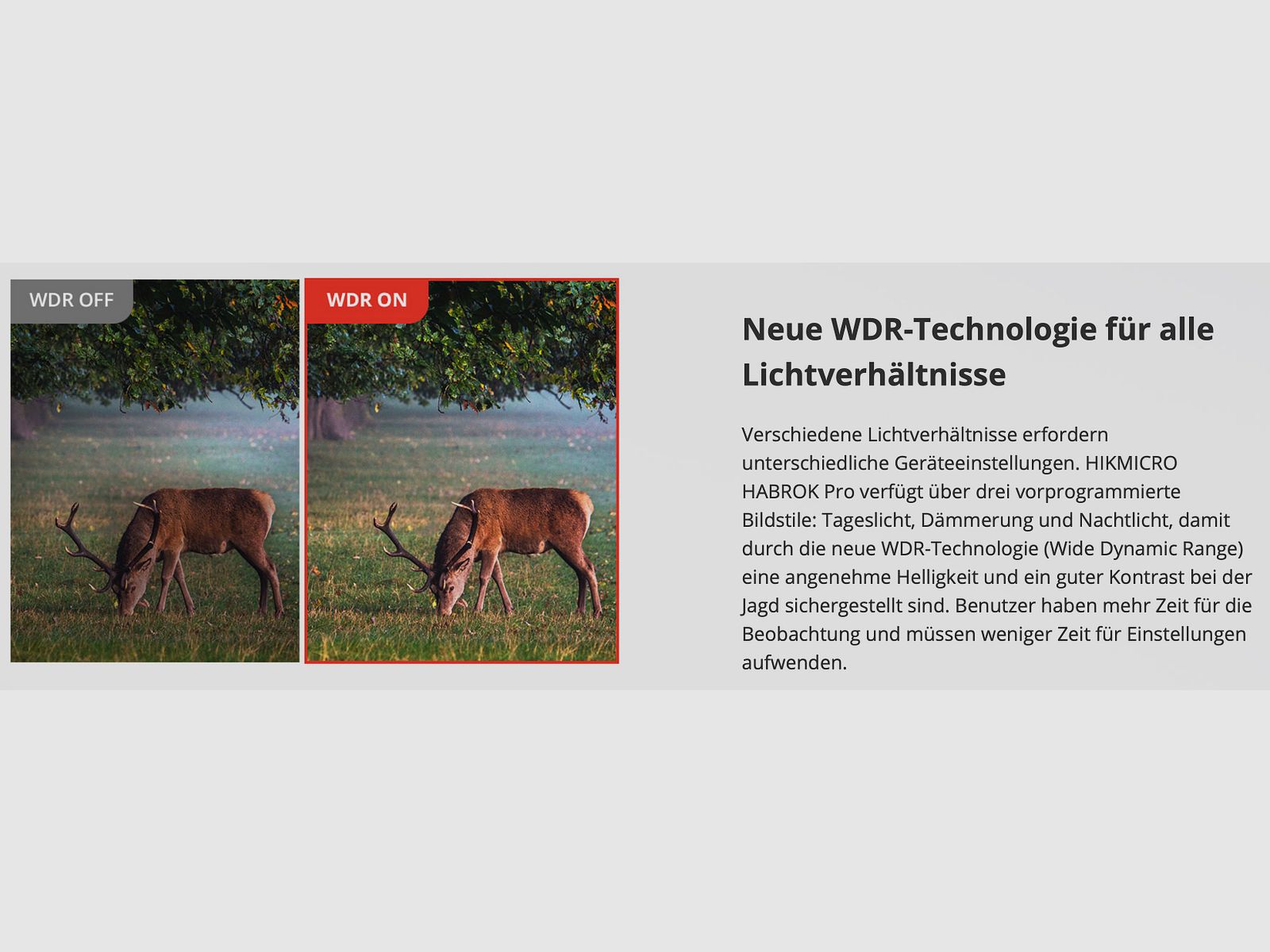 Hikmicro Binocular Habrok Pro HQ50L Thermal Imaging/Night Vision/Digital Camera 850Nm 3840 × 2160