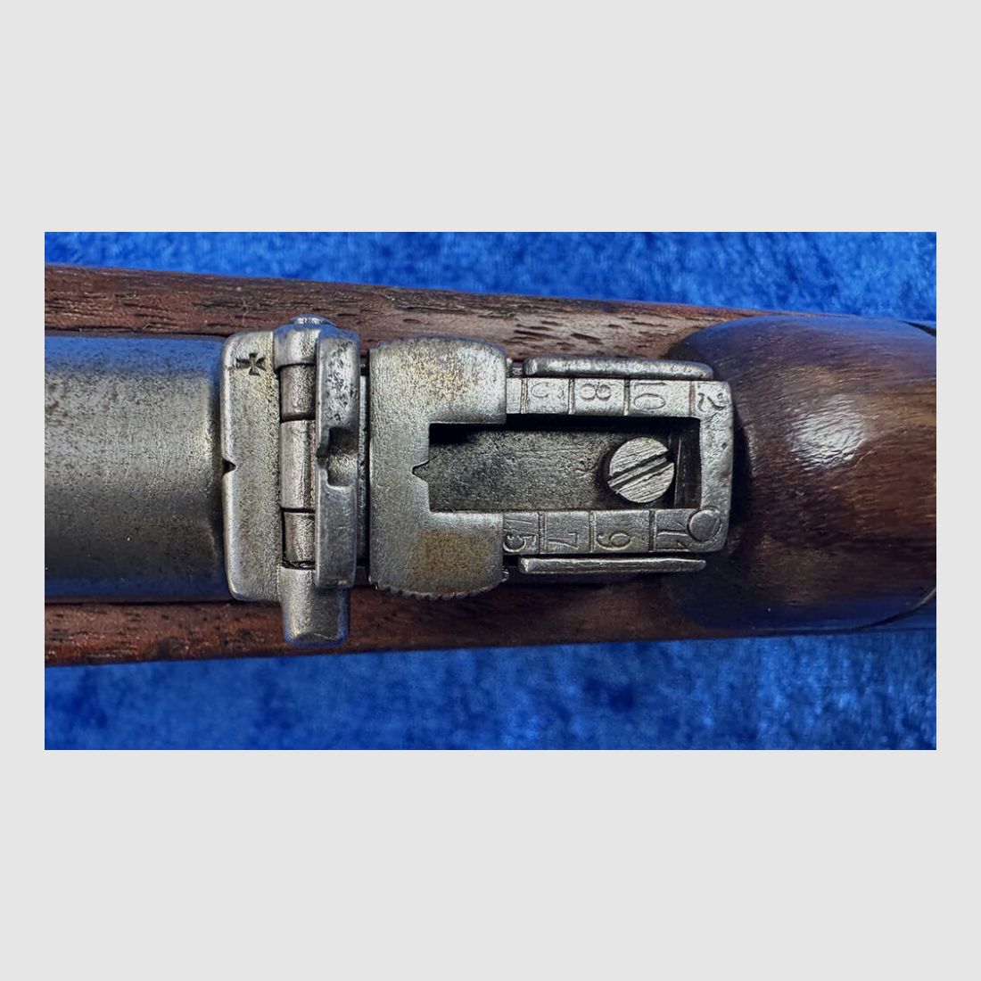 DWM 1891 Argentino, Bild 7 von 7
