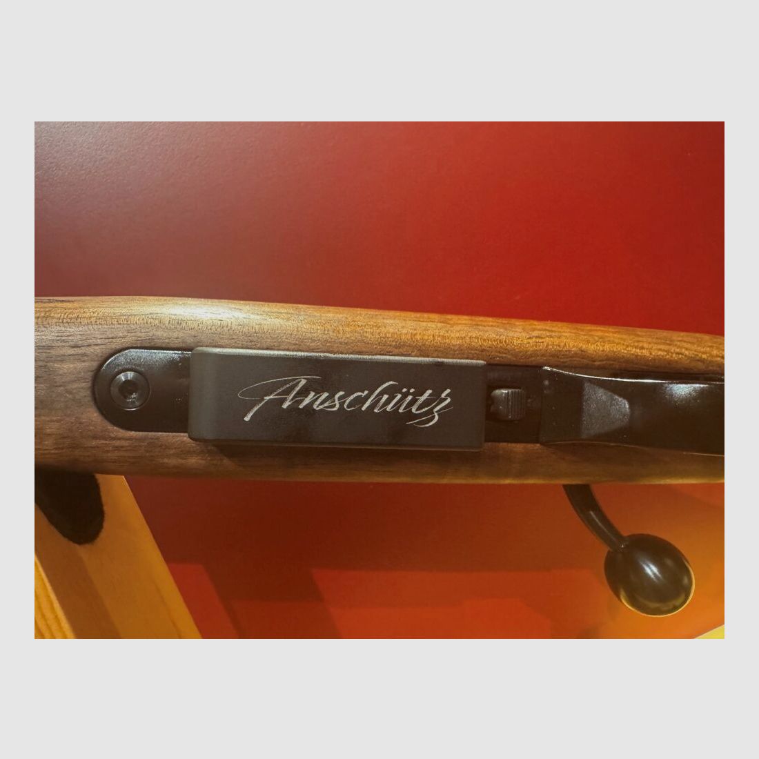Anschütz 1771 Modello Anniversario 170 Anni