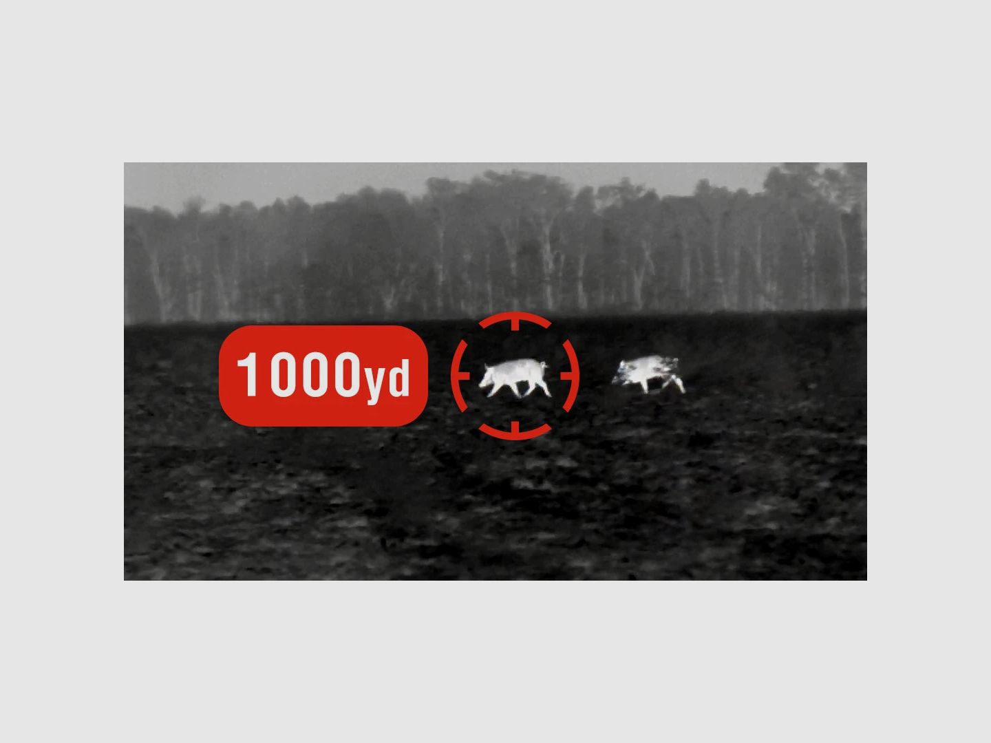 BlazeHunter 635, 2.5x20x, thermal monocular, image 3 of 5