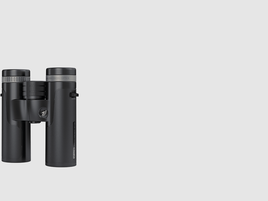 PASSION™ SD 8x34