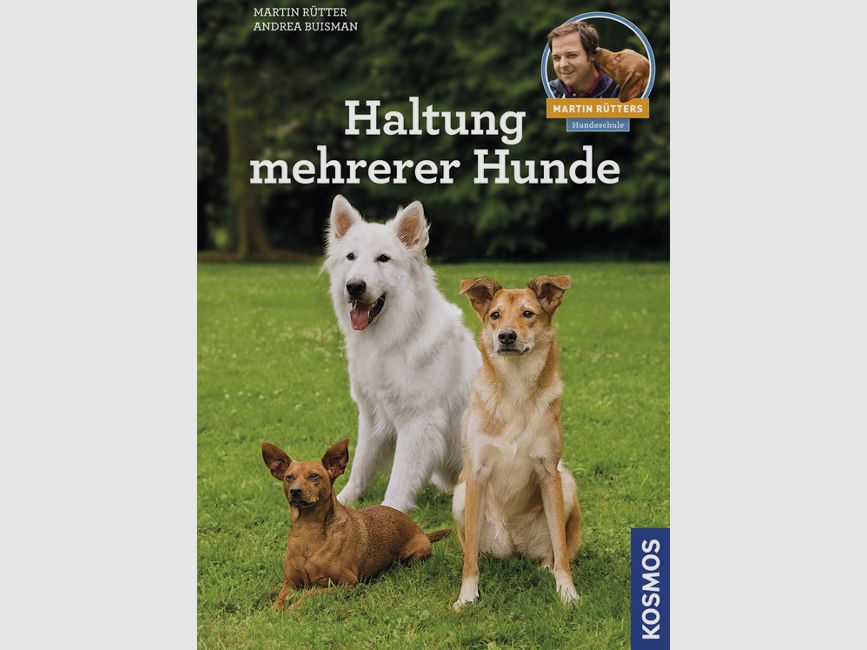 Kosmos Haltung mehrerer Hunde