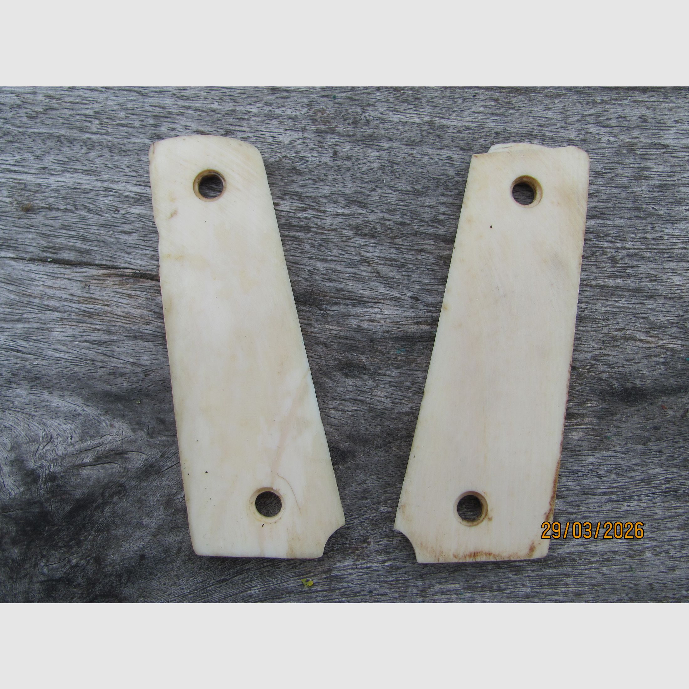 Colt Government M1911 u Klone - handgefertigte Bein Griffschalen - UNIKAT!