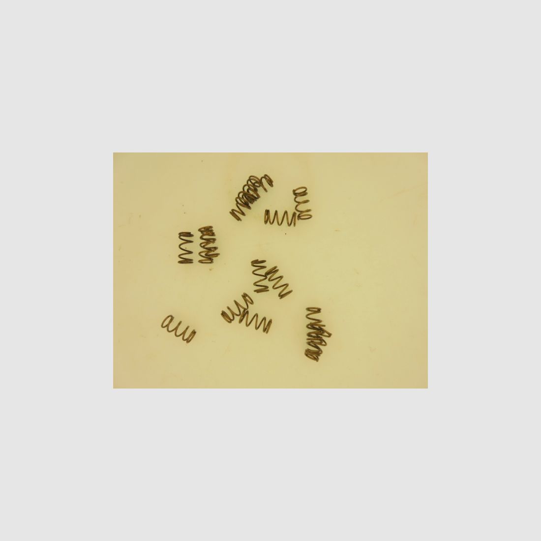 RESSORT GACHETTE ERMA KGP69…., image 2 sur 6
