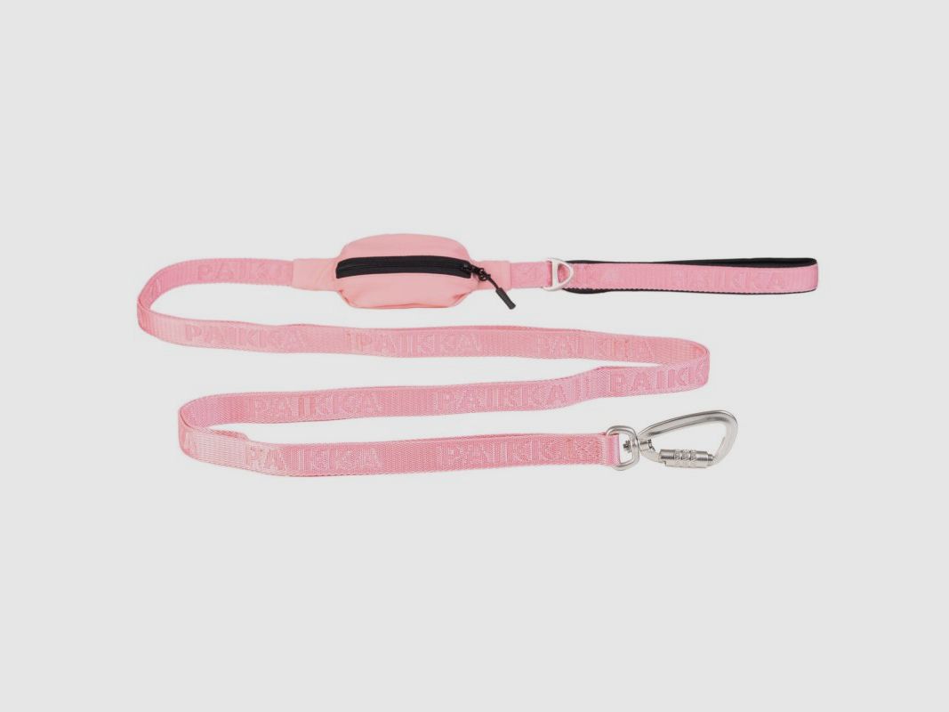 Paikka Hundeleine Visibility Rosa 1,5x180cm
