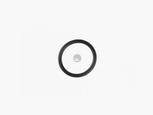 Element Piston Head O-Ring