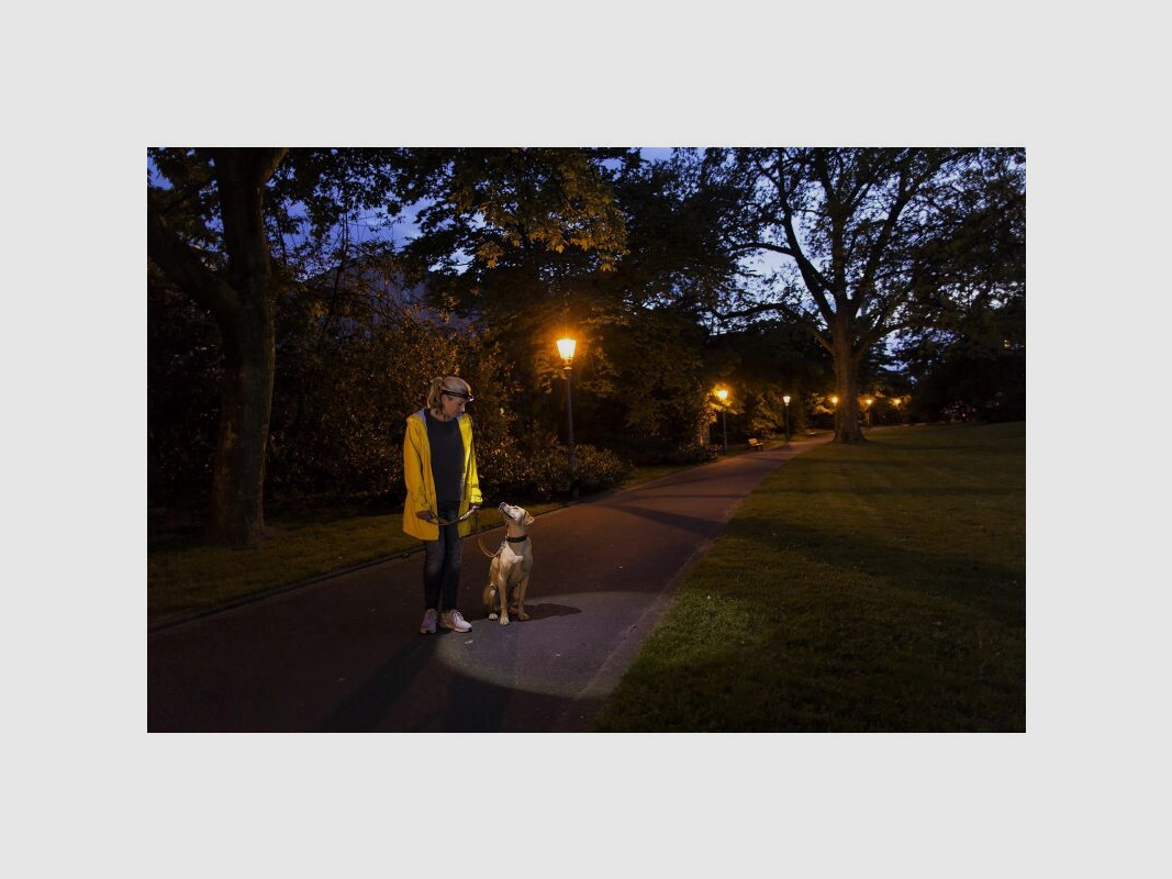 Ledlenser Stirnlampe H6R