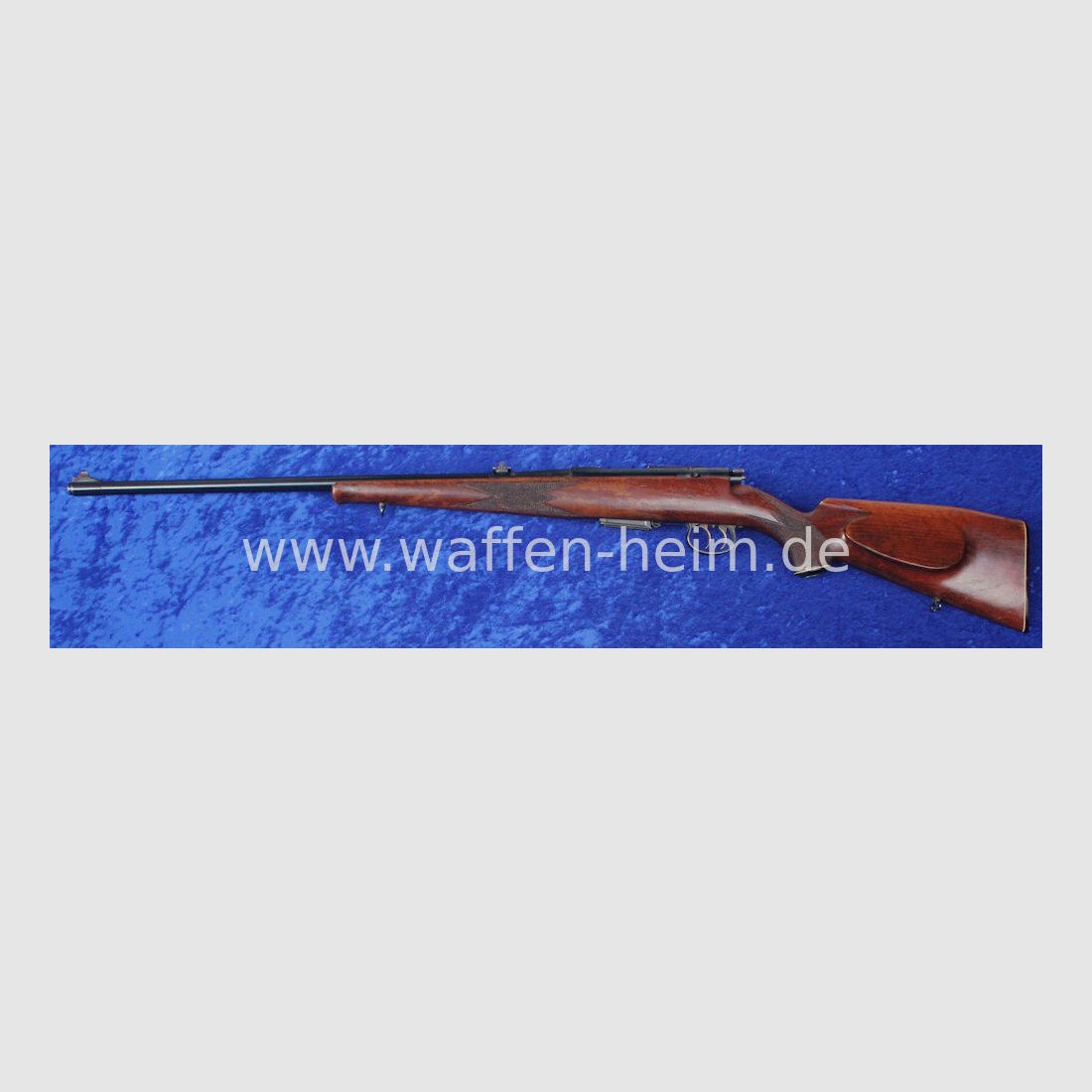 Anschütz