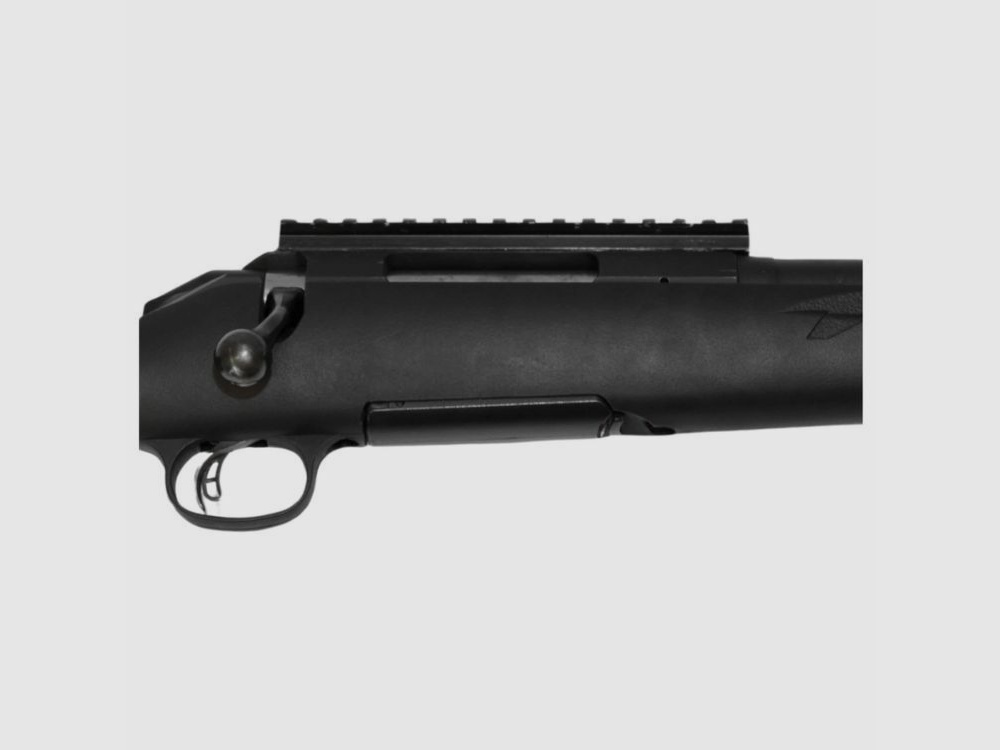 Ruger	 Ruger American
