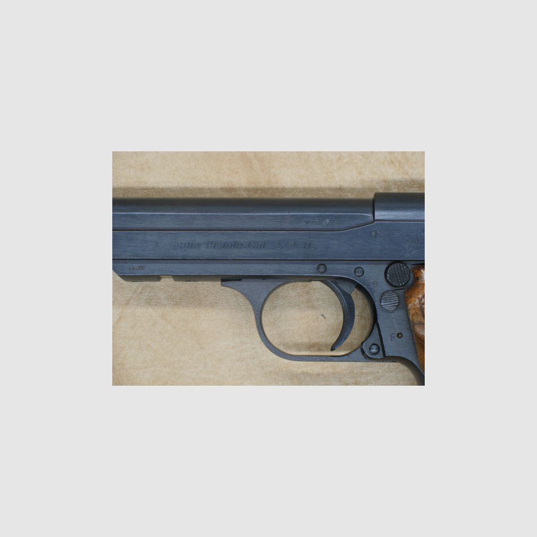 Walter Olympia kaliber .22lr do polowania na pułapki