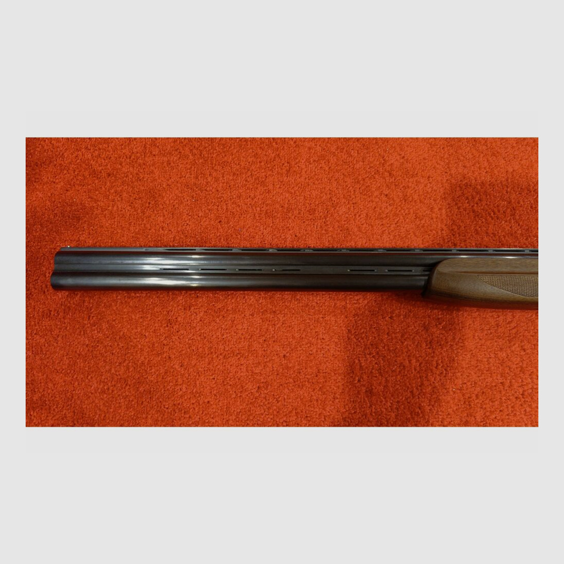 Frankonia Jagd 12/76