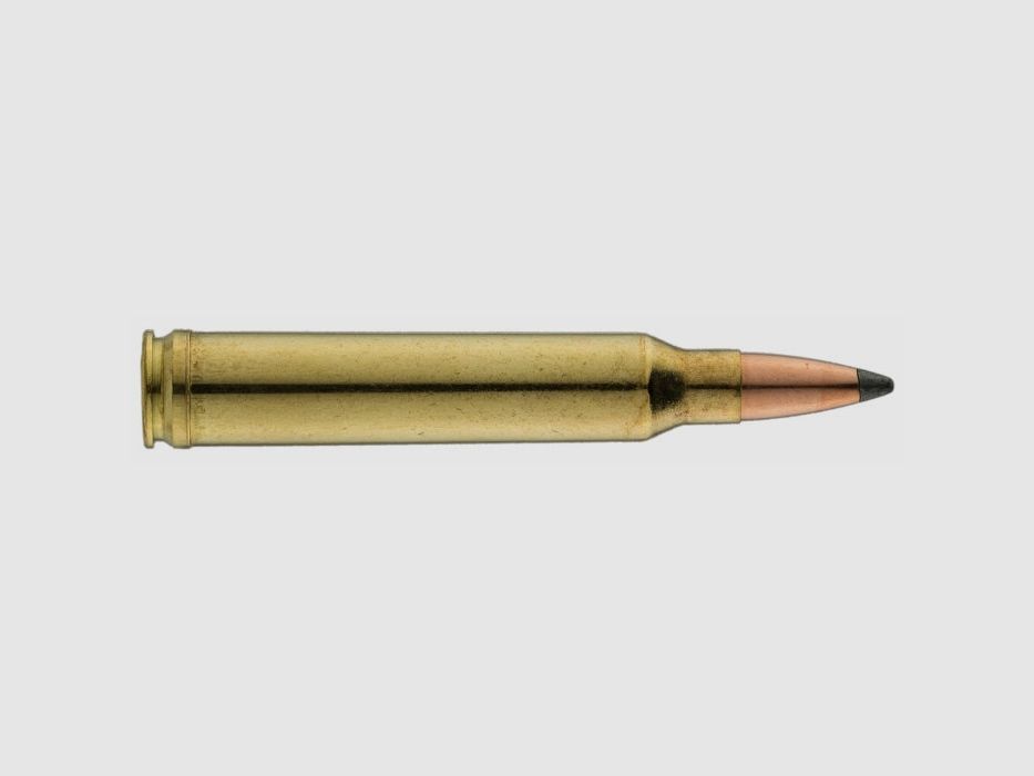 Balles Sologne Nosler Partition, image 4 sur 6