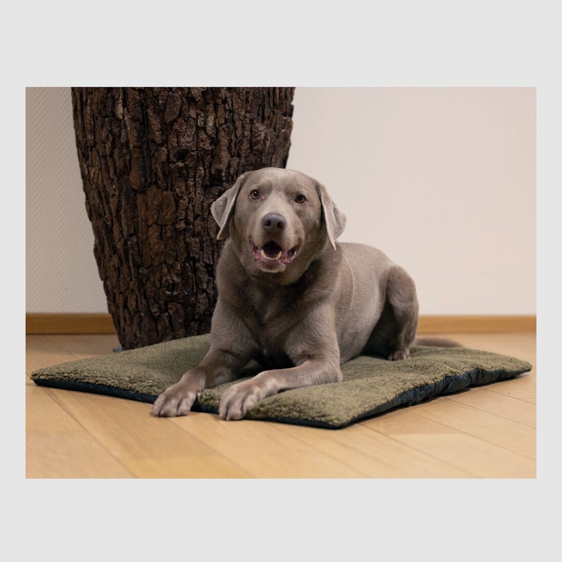 Deerhunter dog bed Retrieve Dog, imagen 5 de 5