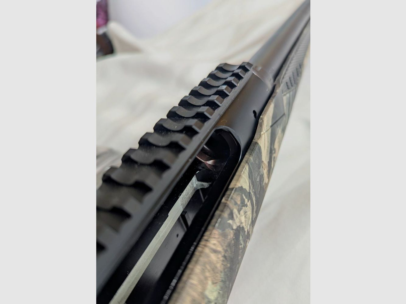 Prédateur d'Impulsion Sauvage