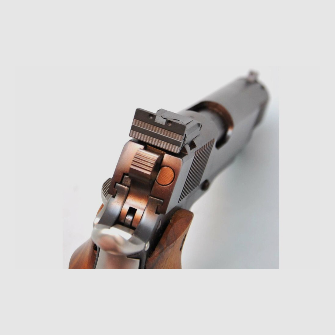 Holden Custom Guns 1911 .45Auto