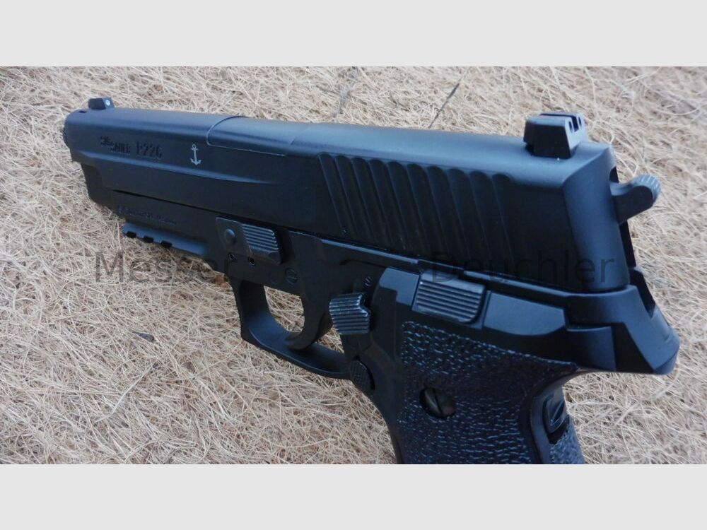 Sig Sauer	 226