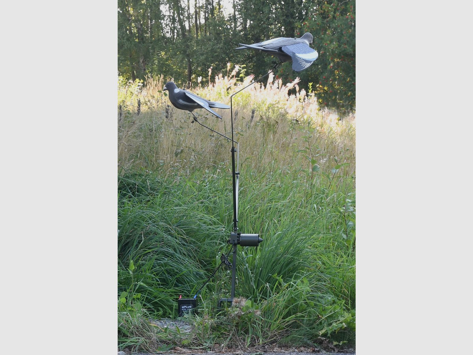 5etta Pigeon Carousel with Remote Control.