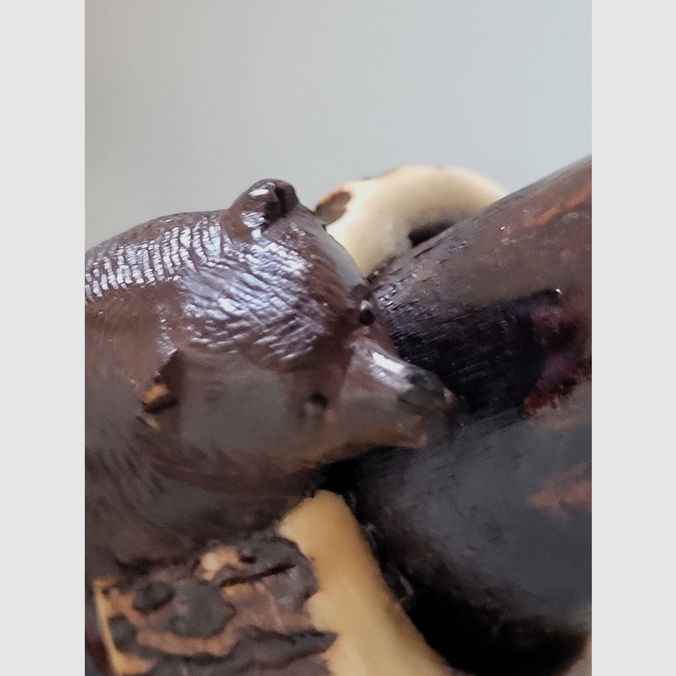 Jagd Spazierstock - Sitz - Bär - Hirschhorn - 1930er Jahre