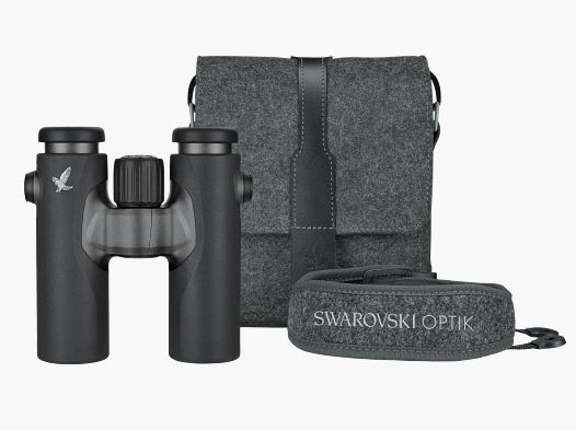 Swarovski CL Companion 8x30 anthrazit northern-lights