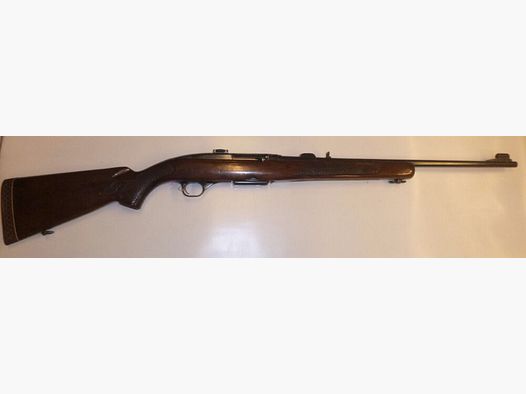 Winchester	 100