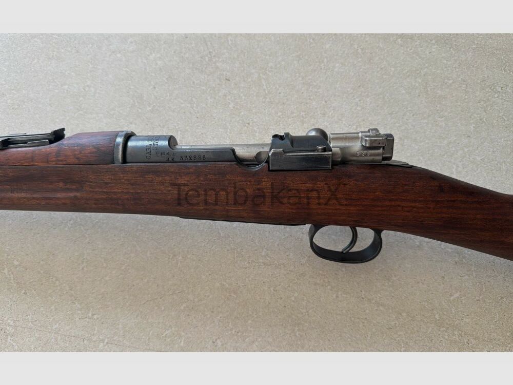 Carl Gustafs Mauser 96 6.5x55SE