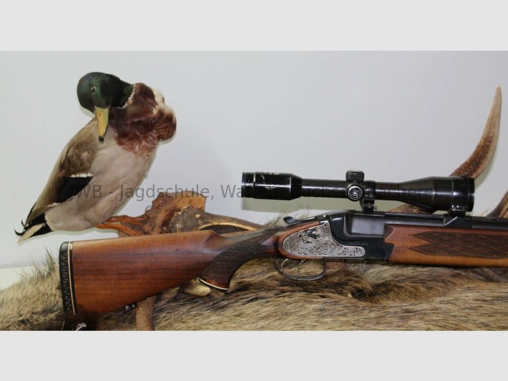 Escopeta Brünner Super Bock con cañón intercambiable y montaje oscilante 12/70; 7x57R