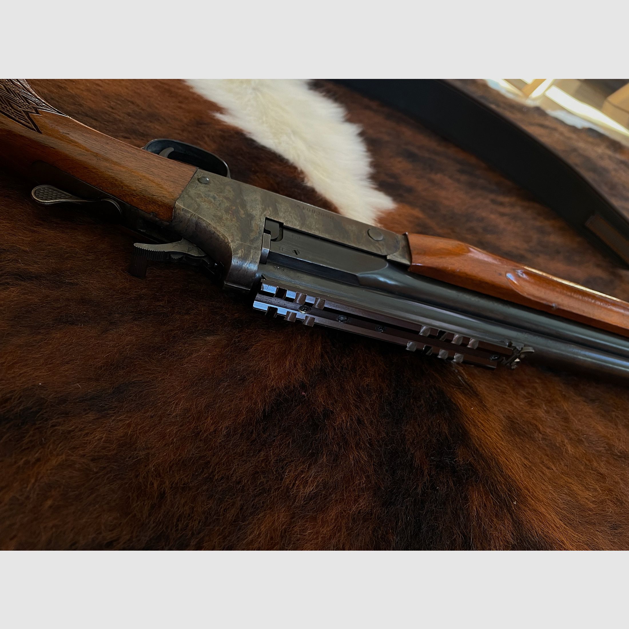 Savage Arms Bockbüchsflinte | .222 Rem / Komplettpaket inkl. Munition