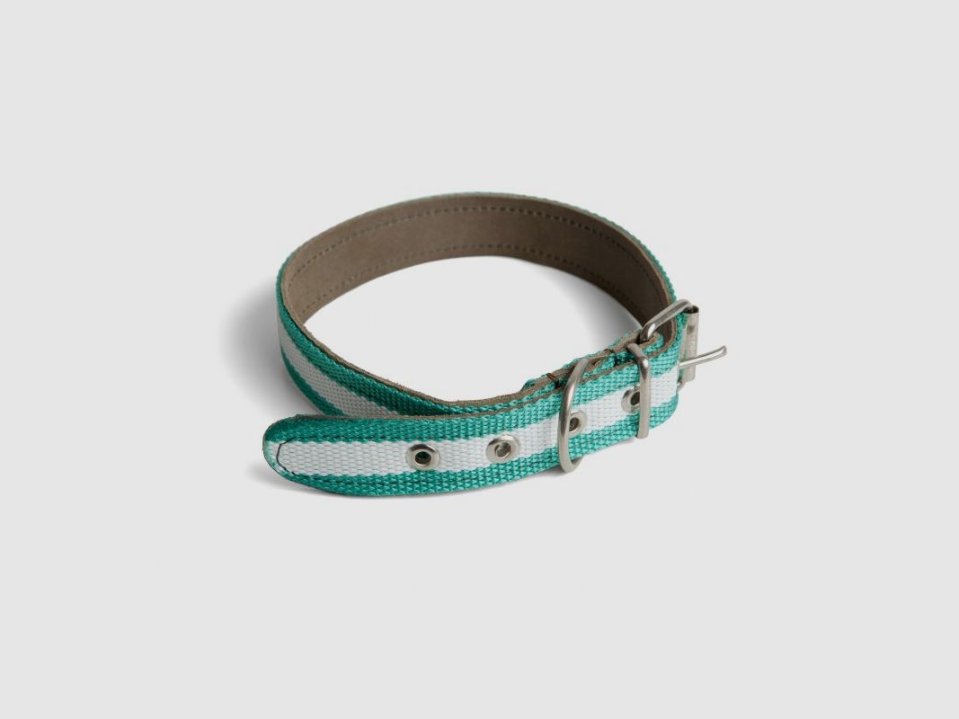 Nylonhalsband mit Andalusienflagge und Lederverstärkung