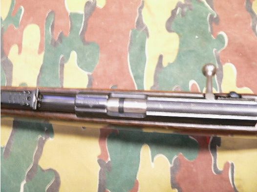 JG Anschütz Ulm 22lfb