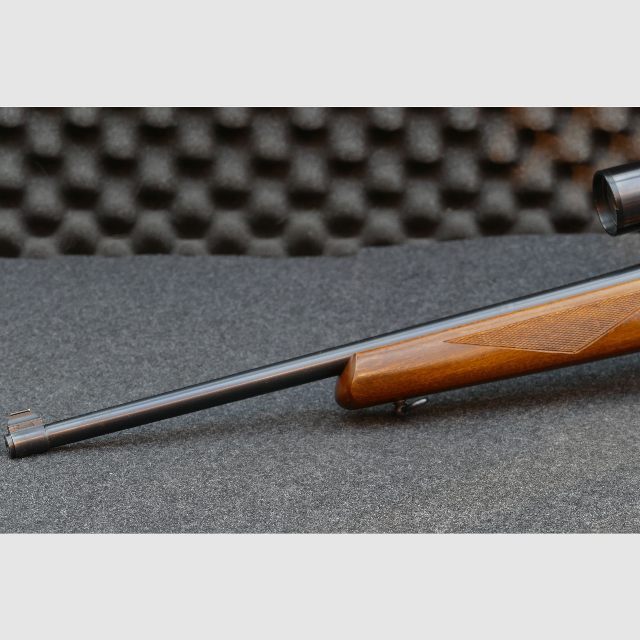 Ruger 10/22 DSP "Sporter", semi-automatic, self-loading rifle, .22lr