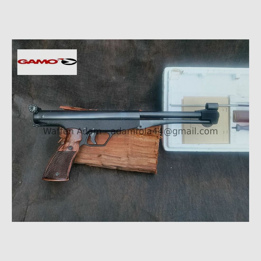 El Gamo F nel Centro Pentagonale - Sottile