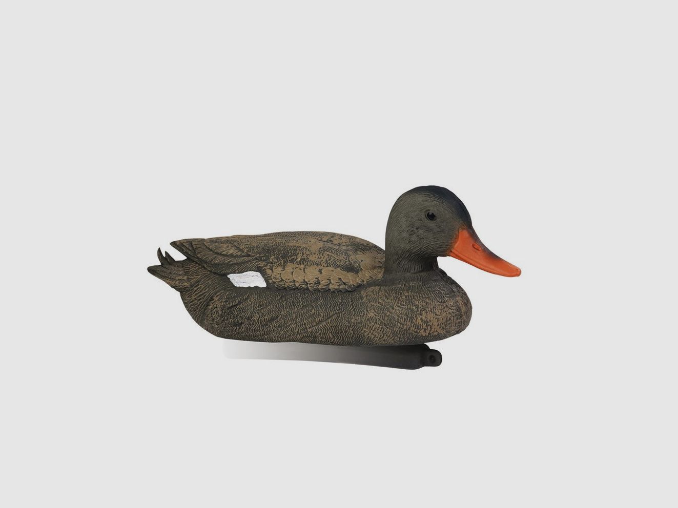 Forme de canard chipeau femelle Stepland