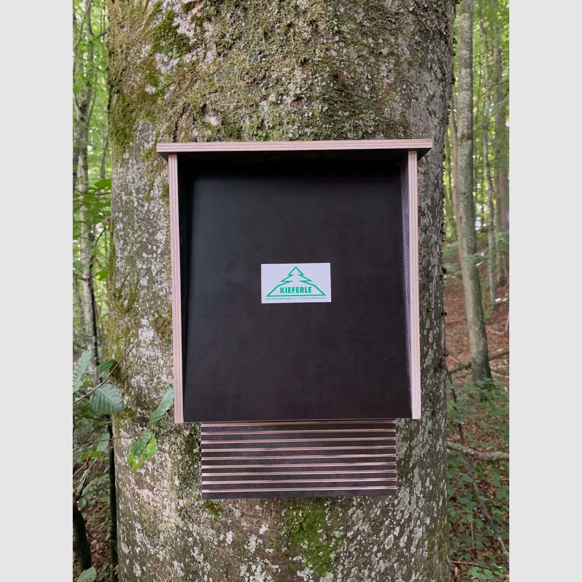 Fledermauskasten