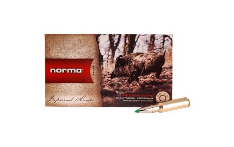 Norma .308 Win. Ecostrike 9,7g/150grs.