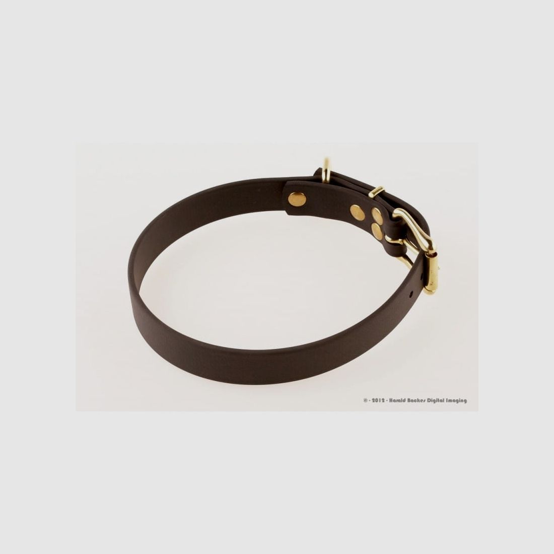 Rüdemeister - verstelbare halsband Premium BioThane 25 mm