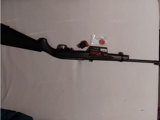 RUGER 10/22 AIR RIFLE