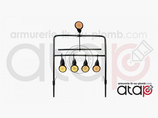 Cible de tir 5 objectifs pour 22 LR