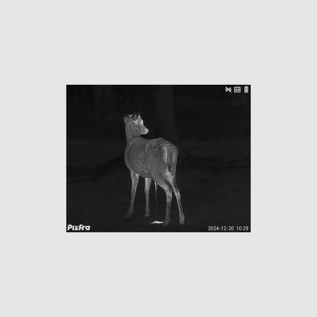 Pixfra Wärmebildmonokular Sirius S650D