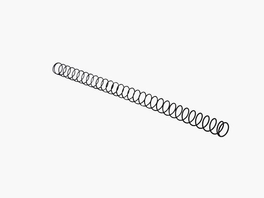SIG SAUER P226 recoil spring exchange system .22lr