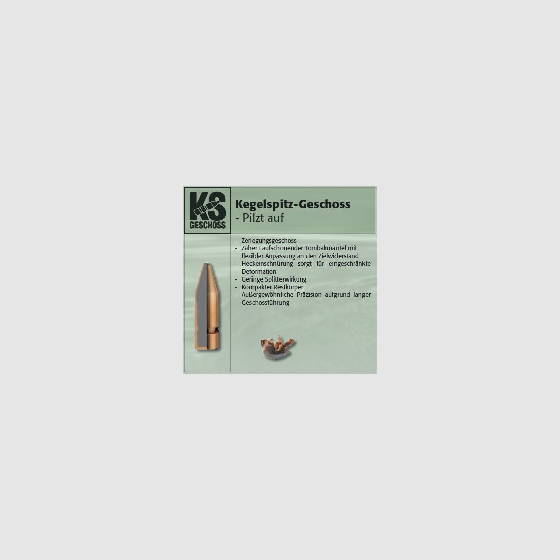 RWS Büchsengeschosse 7mm/284-162-KS  50 Stk 10,5 g